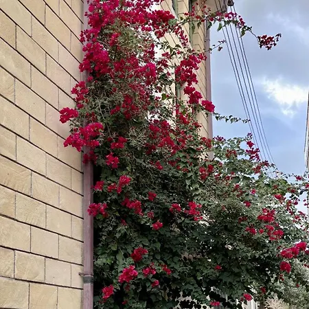 Lägenhet 2br Flat Inside Venetian Bastion Walls