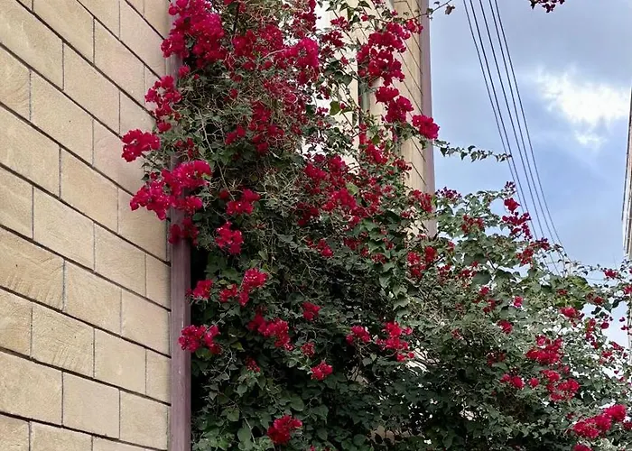 דירה 2br Flat Inside Venetian Bastion Walls