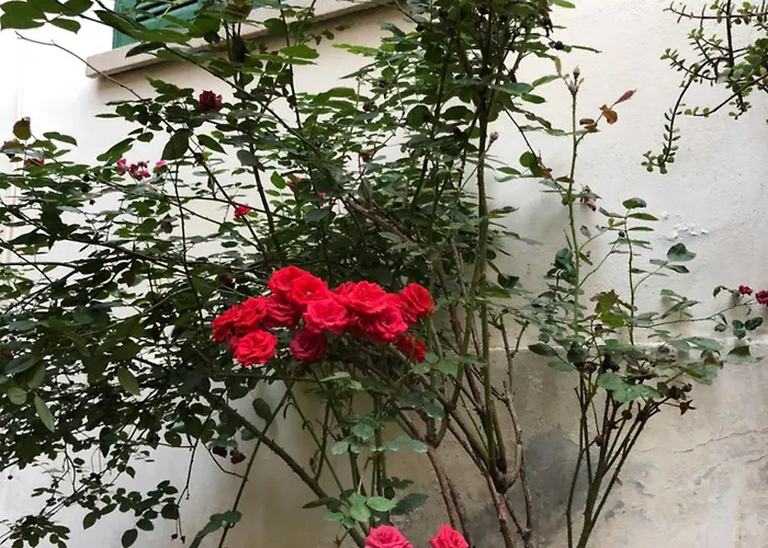 2br Flat Inside Venetian Bastion Walls